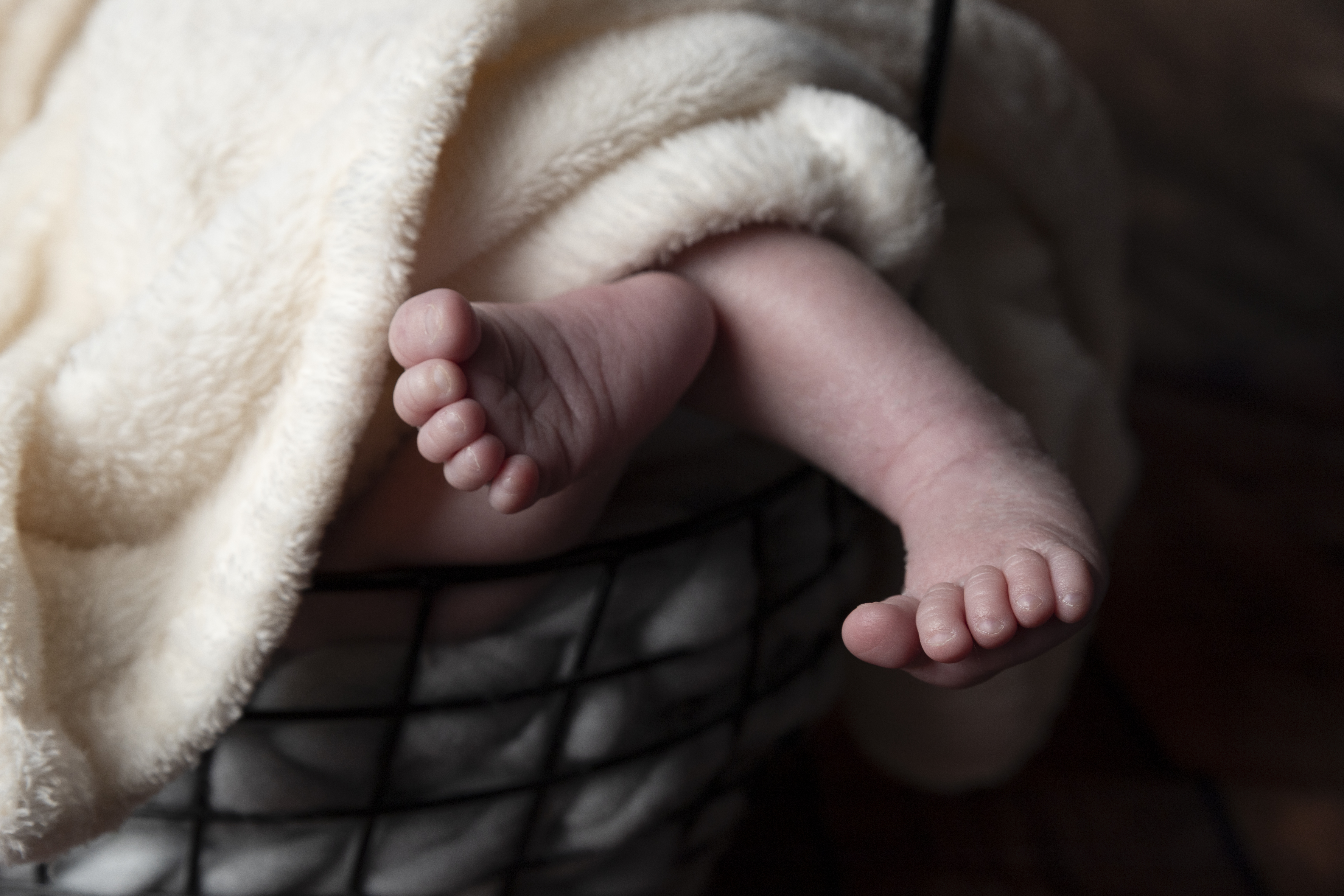 Image d'un photographe professionnel prenant en photo un adorable bébé nouveau-né enveloppé dans un tissu doux